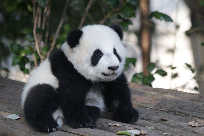 职场技能提升文案生活情绪_职场情绪管理技巧_提升职场情商