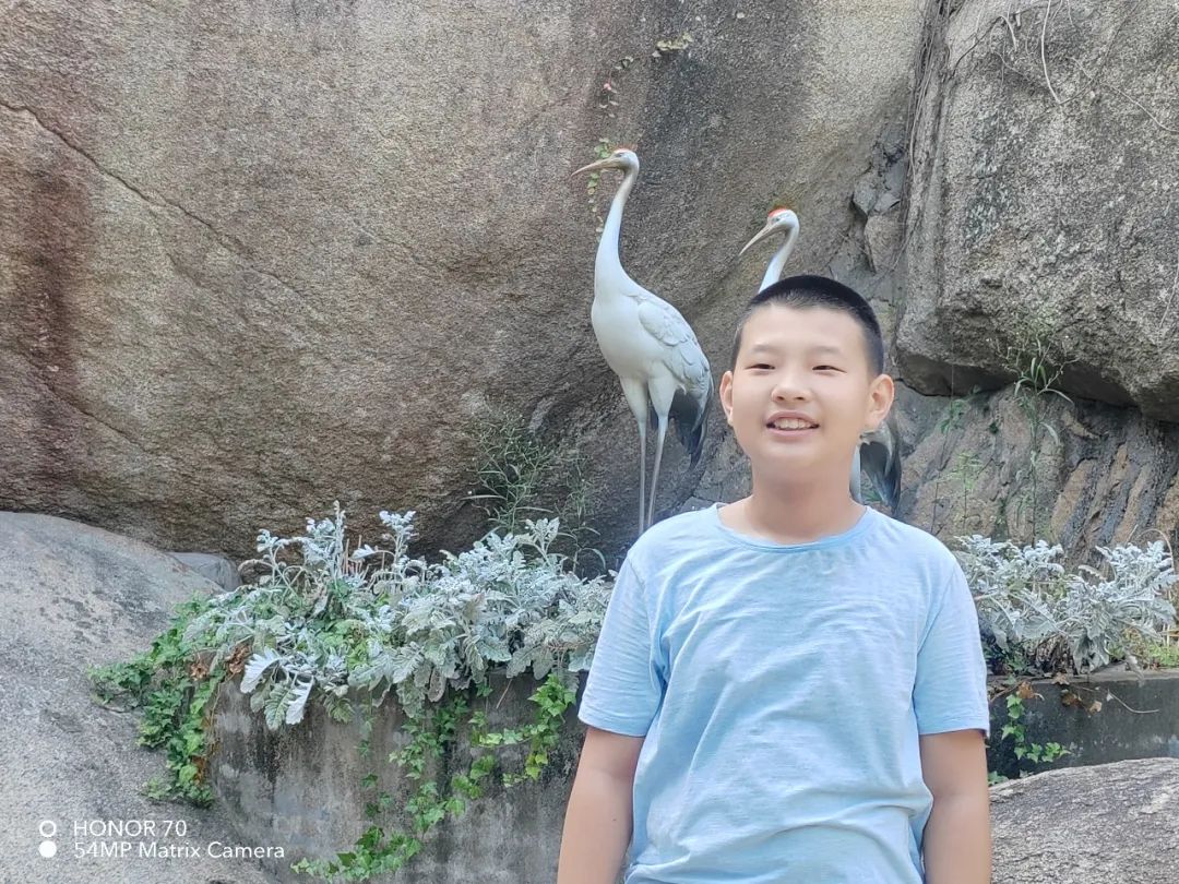足球员在禁区摔倒规则_禁区内摔倒就是点球么_足球禁区假摔